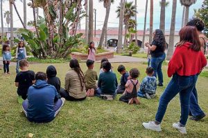 Comunidad Tijuana 1