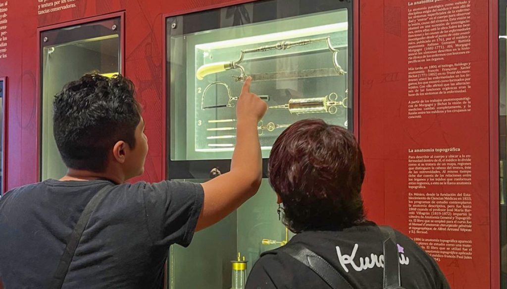 El manejo del ritmo en el homeschooling aprender sin prisas