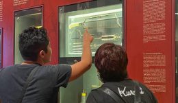 El manejo del ritmo en el homeschooling aprender sin prisas