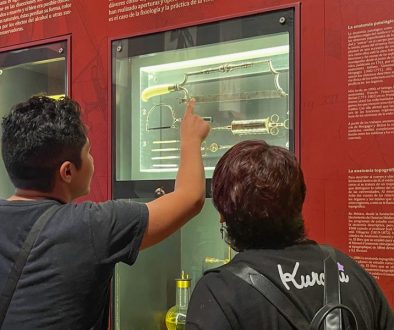 El manejo del ritmo en el homeschooling aprender sin prisas