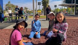 Organización y rutinas en el homeschooling claves para un día a día armonioso