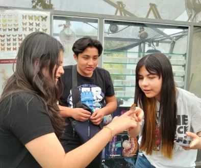 inteligencia emocional en homeschooling | MRHS MX